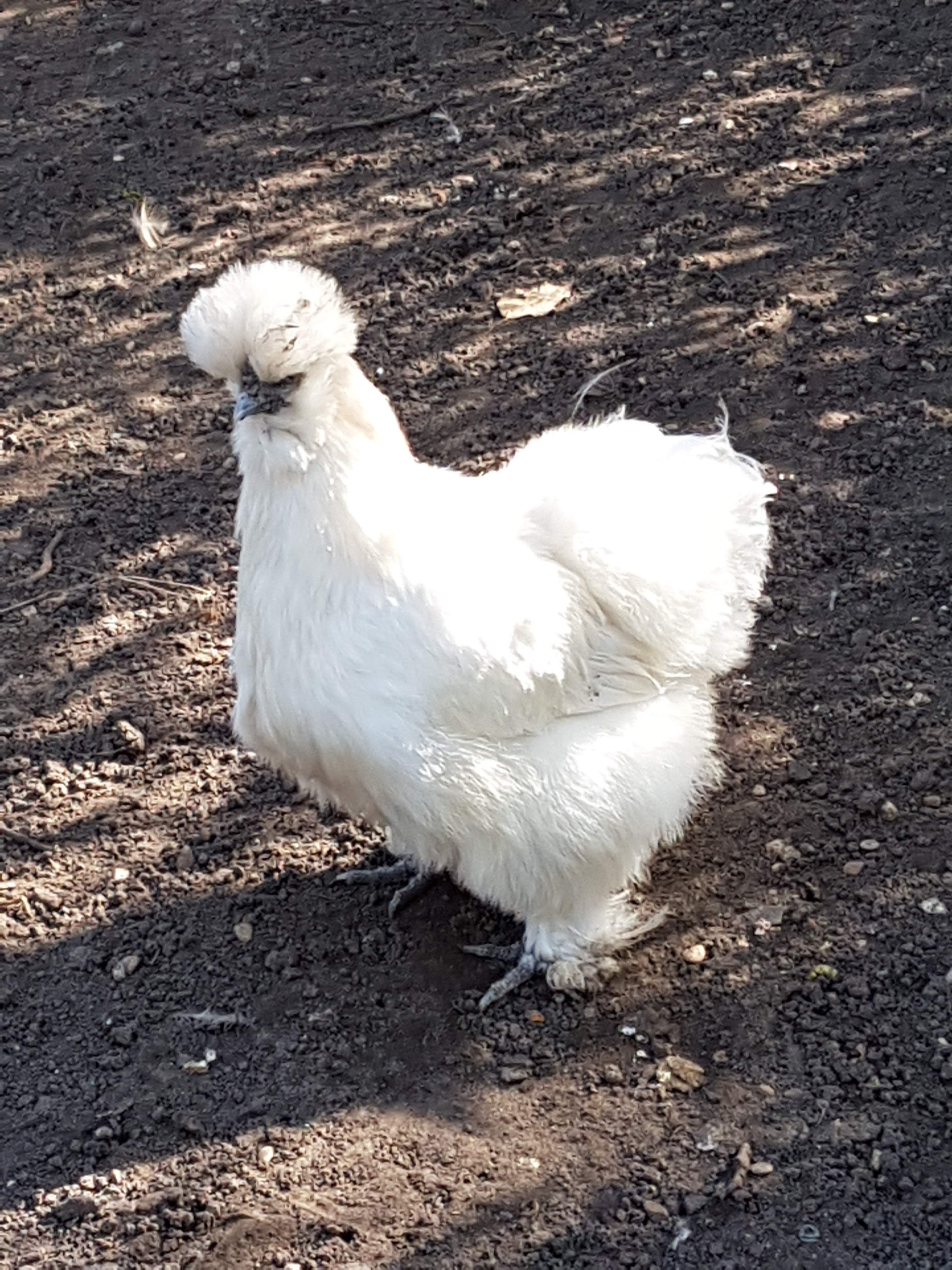 Photo n° 9 de l'avis de j.c. fait le 30/03/2019 à 19:26