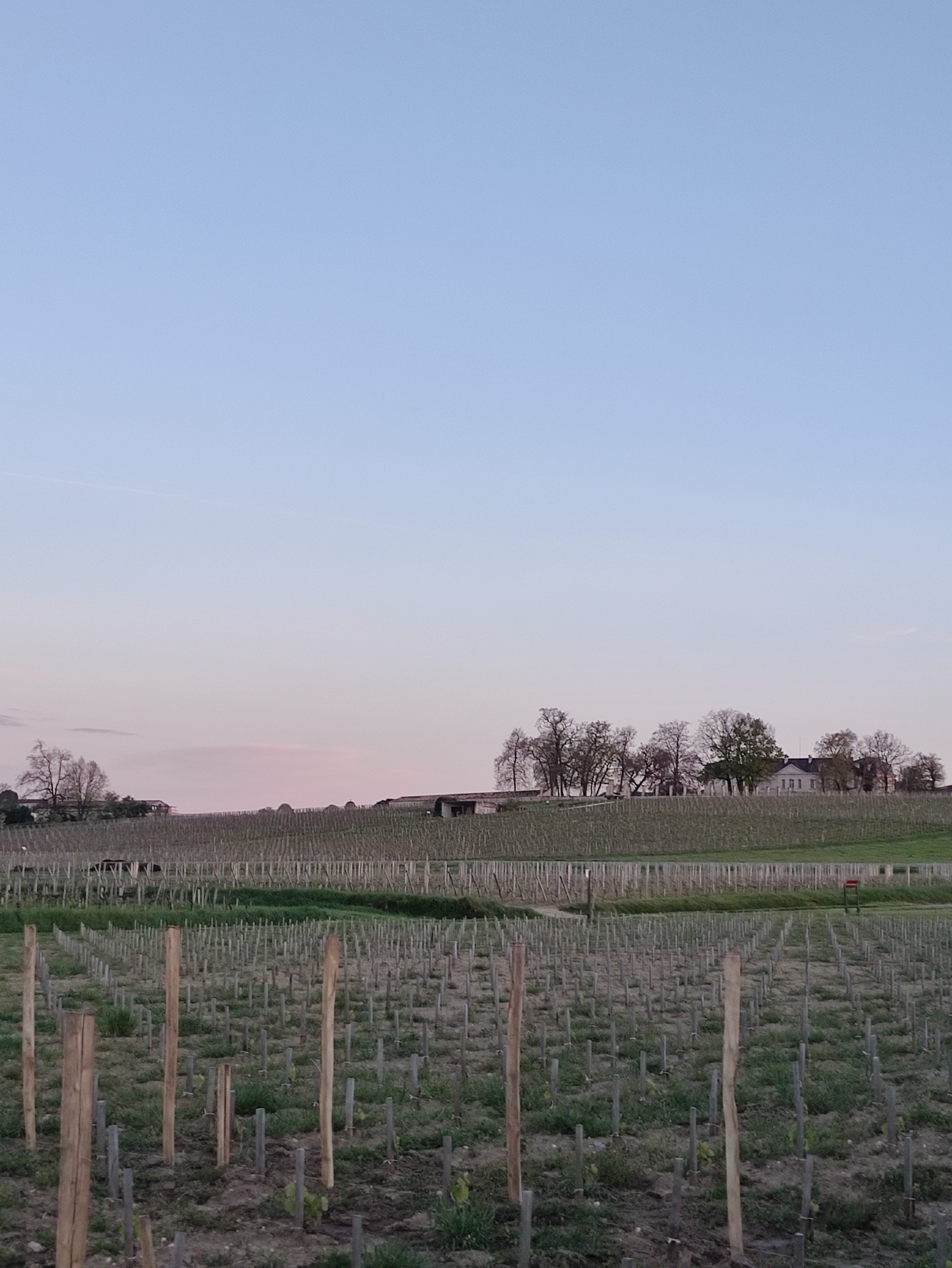 Photo n° 1 de l'avis de Lamity.y fait le 15/04/2023 à 19:46