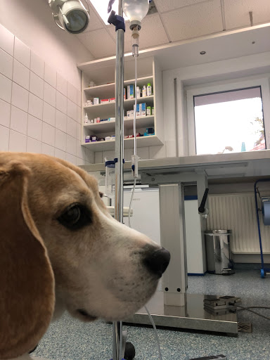 Dr. med. vet. Roland Graen unter Kirchheimbolanden, 