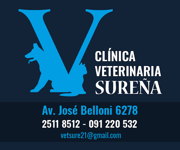 Clínica Veterinaria sureña - Veterinario