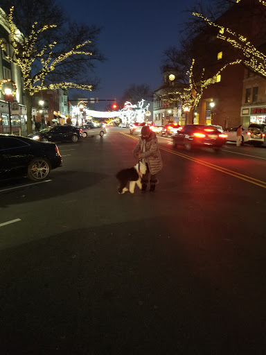 Coffee Shop «Starbucks», reviews and photos, 745 Main St, Stroudsburg, PA 18360, USA