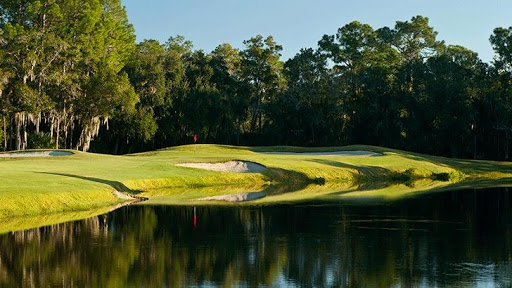 Golf Course «East Lake Woodlands Country Club», reviews and photos, 1055 E Lake Woodlands Pkwy, Oldsmar, FL 34677, USA