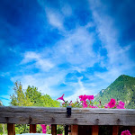 Photo n°1 de l'avis de Roberto.. fait le 03/06/2023 à 07:09 sur le  Alp - Birrificio Valle Maira à Frere