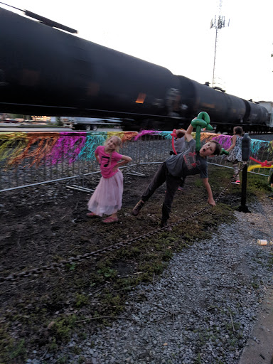 Vegetarian Restaurant «Longbranch Cafe and Bakery», reviews and photos, 100 E Jackson St, Carbondale, IL 62901, USA