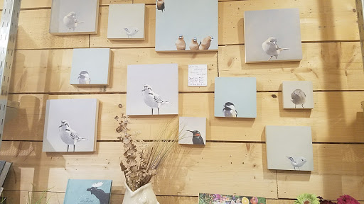 Gift Shop «Roost & Company», reviews and photos, 40 Front St, Salem, MA 01970, USA