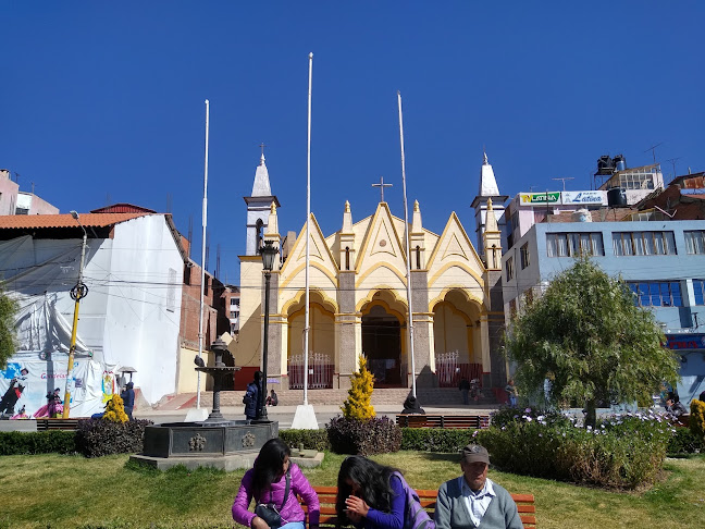 Parque Pino - Puno