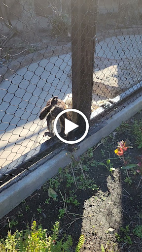 Tennis Club «Westside Tennis & Fitness», reviews and photos, 1200 Wilcrest Dr, Houston, TX 77042, USA