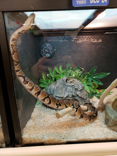 Pet Supply Store «PetSmart», reviews and photos, 57 NJ-23, Wayne, NJ 07470, USA