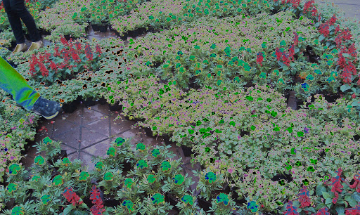 Park «North Park Blocks», reviews and photos, 235 NW Park Ave, Portland, OR 97209, USA