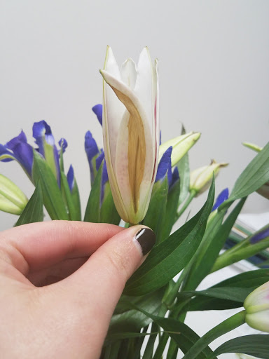 E-commerce Service «ProFlowers.Com», reviews and photos, 2600 McCree Rd, Garland, TX 75041, USA