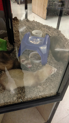 Pet Supply Store «Petco Animal Supplies», reviews and photos, 6425 Keizer Station Blvd, Keizer, OR 97303, USA