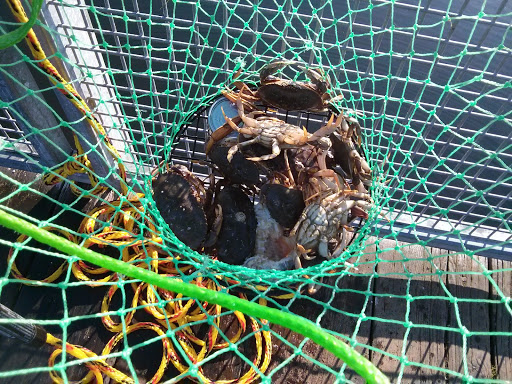 Golf Course «Kayak Point Golf Course», reviews and photos, 15711 Marine Drive NE, Stanwood, WA 98292, USA