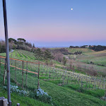 Photo n°2 de l'avis de francesco.i fait le 10/04/2024 à 00:43 sur le  Hills cocktail bar à Dozza