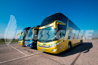 Buses Pluss Chile
