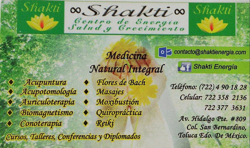 Shakti Energía