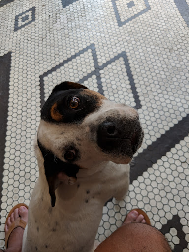 Barber Shop «Virile Barber & Shop», reviews and photos, 510 Jersey Ave, Jersey City, NJ 07302, USA