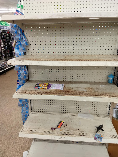 Dollar Store «Dollar Tree», reviews and photos, 341 S College Rd, Wilmington, NC 28403, USA