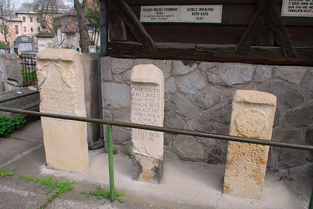 Strada Crizantemelor, Târgu Mureș, România