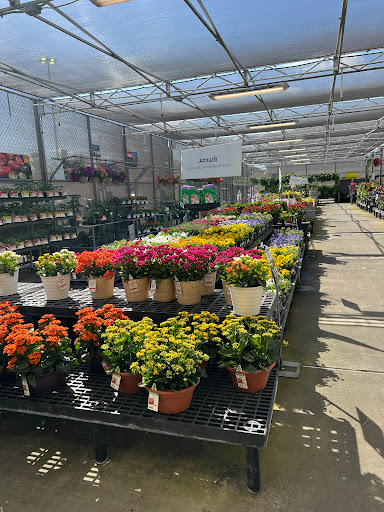 Department Store «Walmart Supercenter», reviews and photos, 8701 U.S. 19, Port Richey, FL 34668, USA