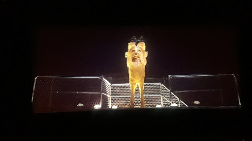 Movie Theater «AMC Independence Commons 20», reviews and photos, 19200 East 39th St S, Independence, MO 64057, USA