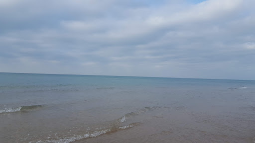 Coffee Shop «Starbucks», reviews and photos, 4103 Franklin St, Michigan City, IN 46360, USA