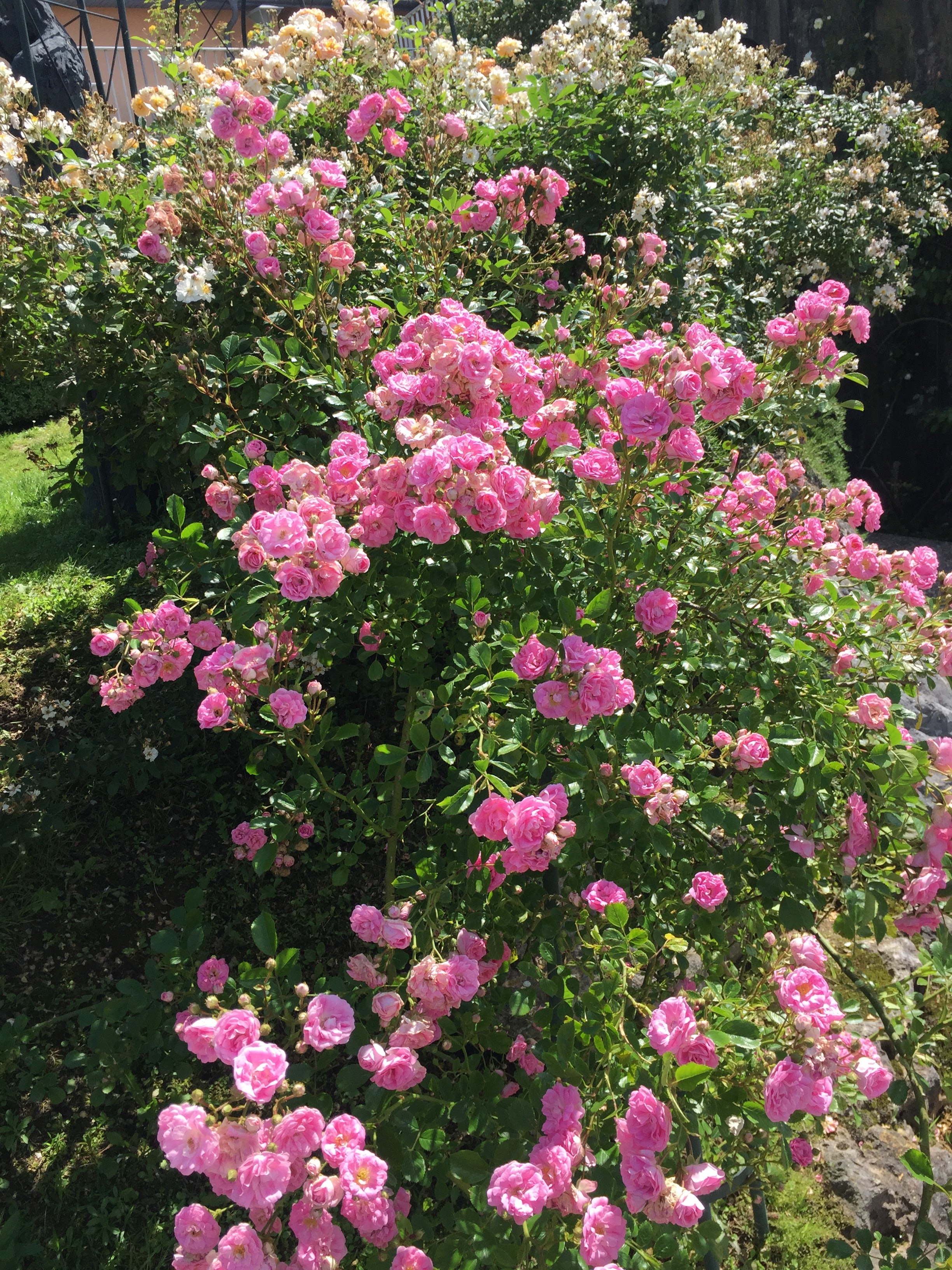 Photo n° 5 de l'avis de Gil.a fait le 21/06/2018 à 12:53