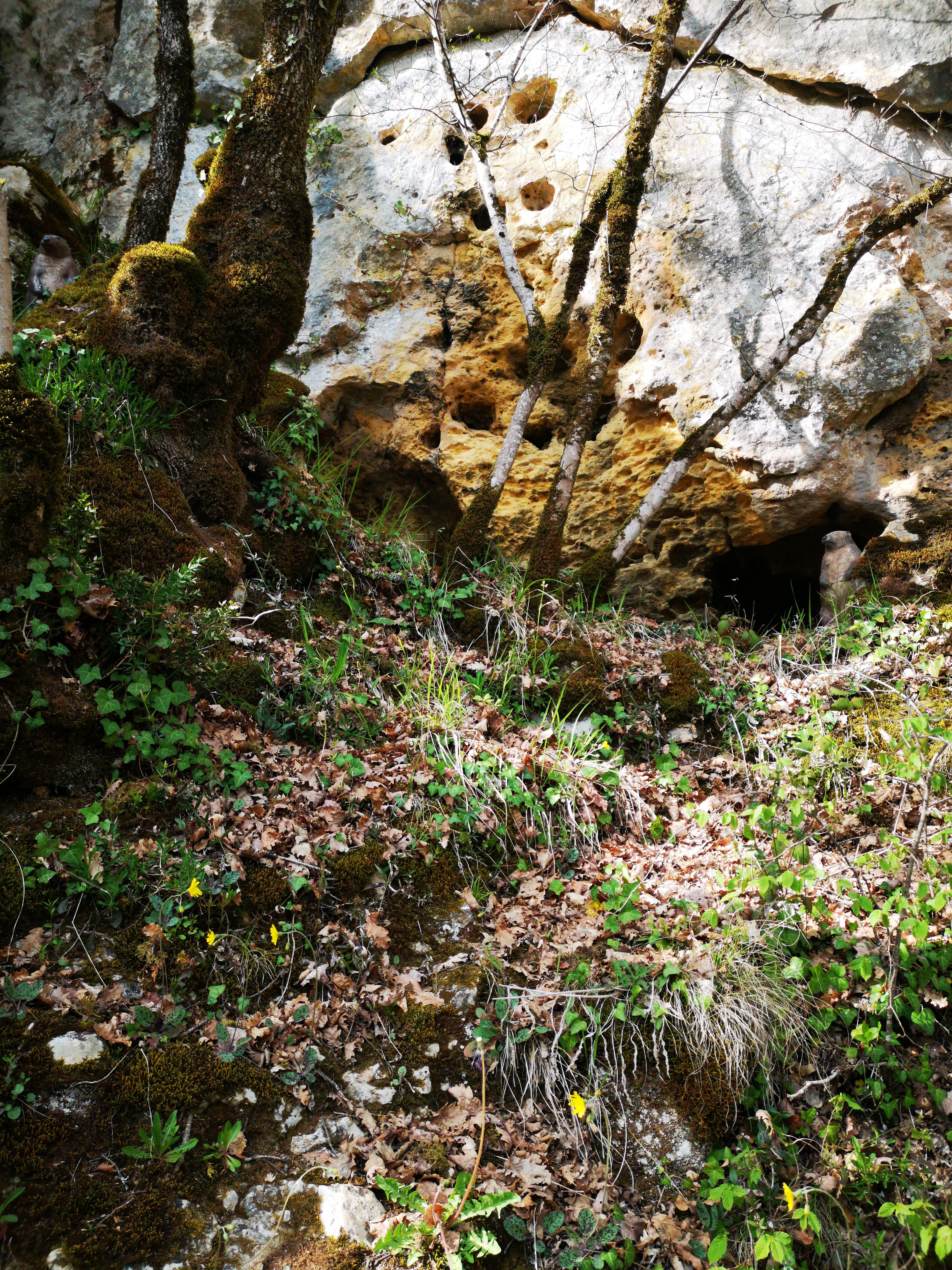 Photo n° 26 de l'avis de HAZMATIQUETTV. fait le 10/04/2019 à 19:47