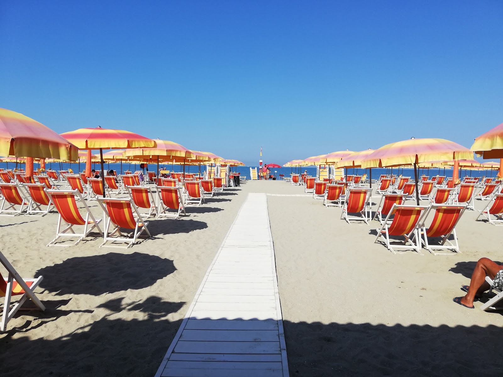 Foto af Calambrone beach - anbefales til familie rejsende med børn