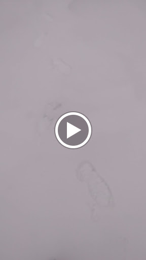 Laundromat «Peppy Wash Laundromat», reviews and photos, 1250 N 10th St, Reading, PA 19604, USA