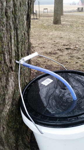 Nature Preserve «Jacob Krumm Nature Preserve», reviews and photos, 15148 Jacob Ave, Grinnell, IA 50112, USA