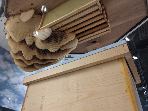 Science Museum «Cook Museum of Natural Science», reviews and photos, 133 4th Ave NE, Decatur, AL 35601, USA