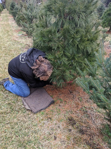 Timber Valley Christmas Tree Farm