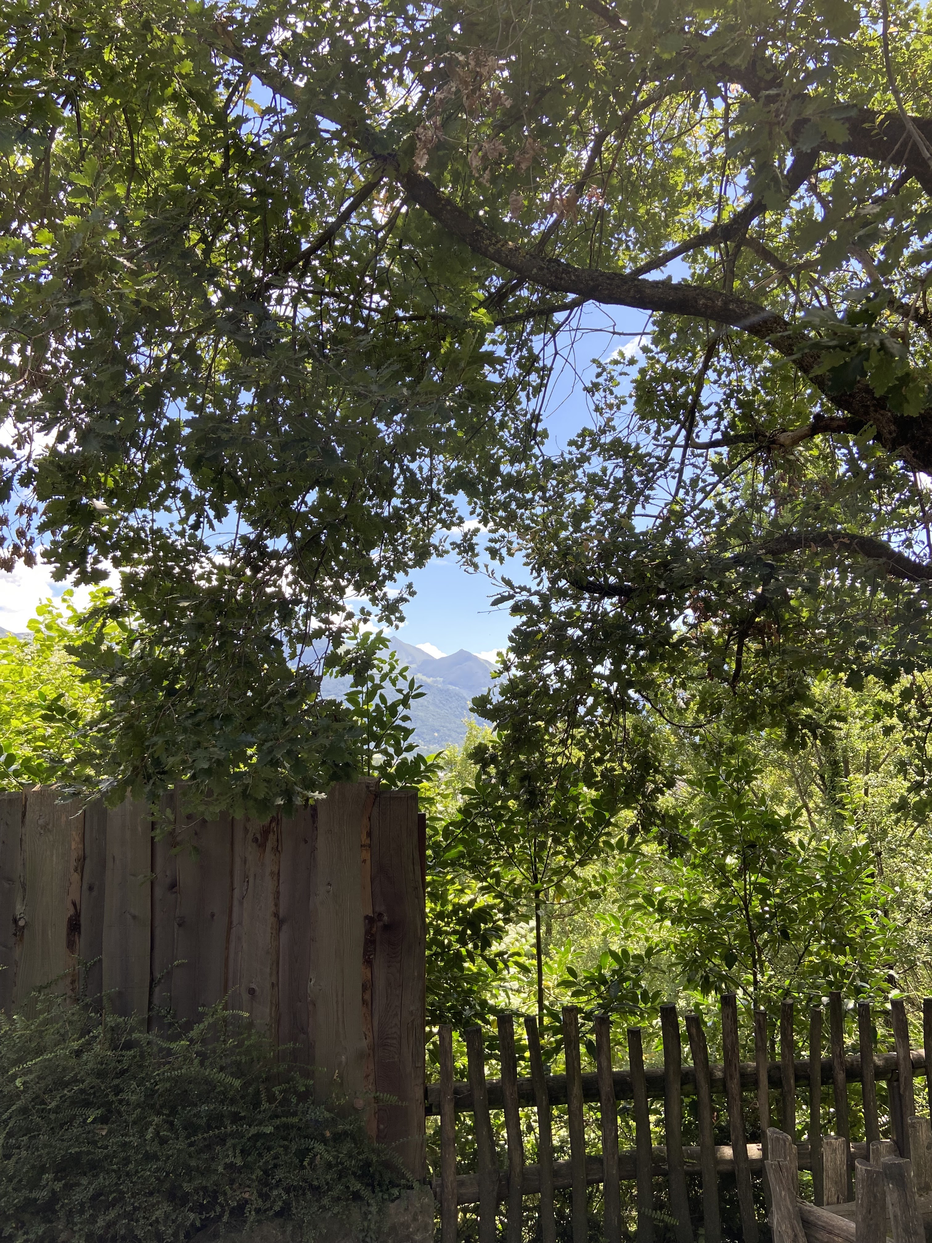 Photo n° 5 de l'avis de Thierry.u fait le 06/08/2023 à 16:24