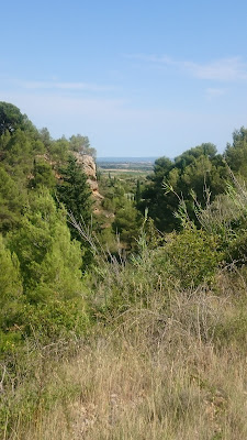 Domaine Lou Colombier à Montouliers