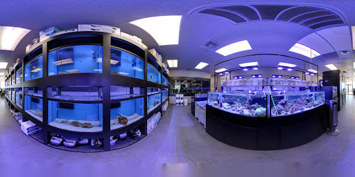 Tropical Fish Store «OceanLife Aquariums», reviews and photos, 5475 West Loop S, Houston, TX 77081, USA