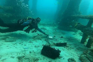 Neptune Memorial Reef image