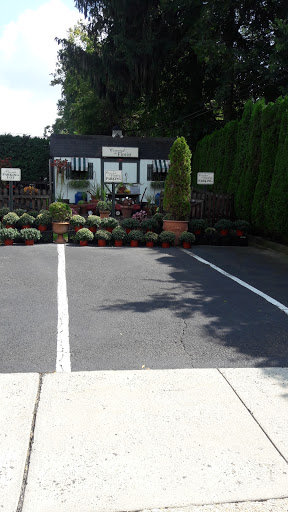 Florist «Conrad the Florist», reviews and photos, 924 Township Line Rd, Elkins Park, PA 19027, USA