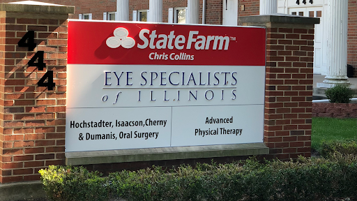 Auto Insurance Agency «Chris Collins - State Farm Insurance Agent», reviews and photos