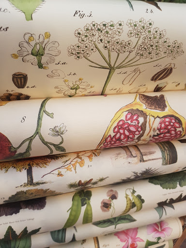 Stationery Store «ROCK PAPER SCISSORS», reviews and photos, 216 S Main St, Ann Arbor, MI 48104, USA