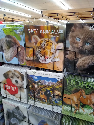 Discount Store «Big Lots», reviews and photos, 2349 Cherry Rd #79, Rock Hill, SC 29732, USA