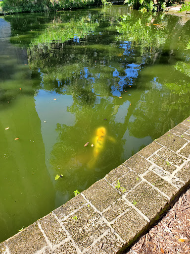 Garden «Bok Tower Gardens», reviews and photos, 1151 Tower Blvd, Lake Wales, FL 33853, USA