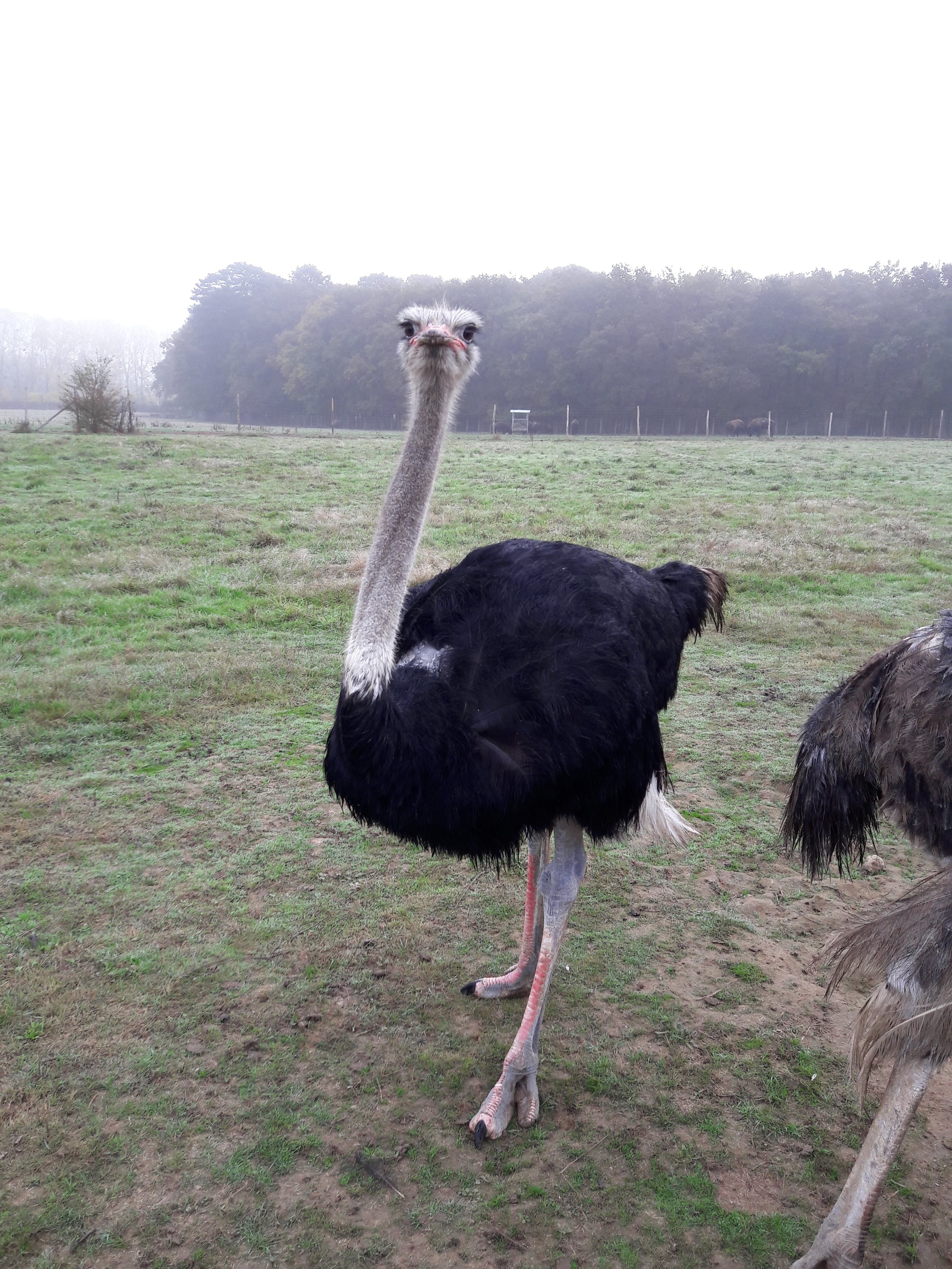 Photo n° 1 de l'avis de Olivier.a fait le 30/10/2016 à 20:01