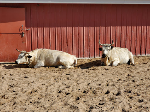 Zoo «Sedgwick County Zoo», reviews and photos, 5555 Zoo Boulevard, Wichita, KS 67212, USA