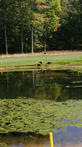 Golf Course «Diamond Springs Golf Course», reviews and photos, 3400 34th St, Hamilton, MI 49419, USA