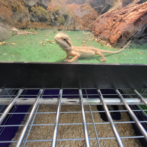 Pet Store «Feed-Rite Pet Supply», reviews and photos, 2979 Fort St, Lincoln Park, MI 48146, USA