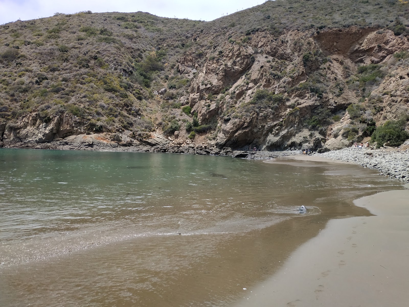 Photo de Playa el Cocodrilo situé dans une zone naturelle