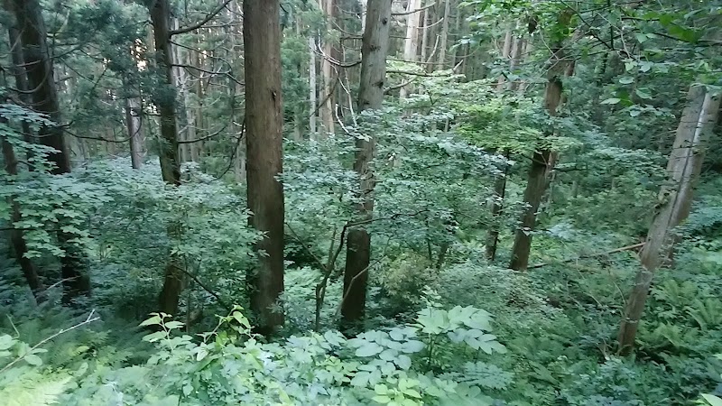 春日山城 御屋敷跡