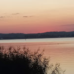 Photo n°2 de l'avis de Bernhard.� fait le 02/09/2019 à 11:45 sur le  Gästehaus am See à Gaienhofen