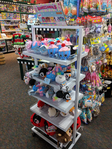 Toy Store «Learning Express», reviews and photos, 2465 W Stadium Blvd, Ann Arbor, MI 48103, USA