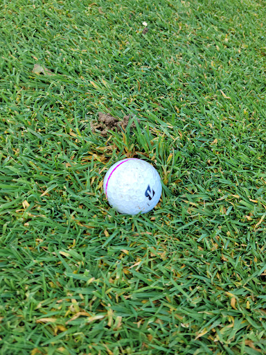 Golf Course «Twin Lakes Golf Course», reviews and photos, 6201 Union Mill Rd, Clifton, VA 20124, USA